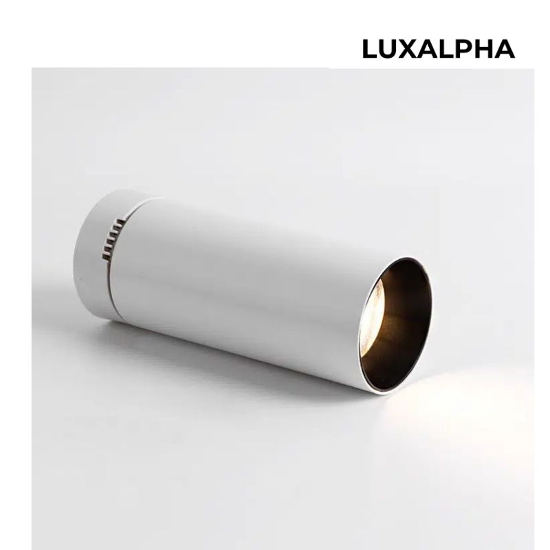 Đèn Chiếu Điểm 10W 24W LUXALPHA