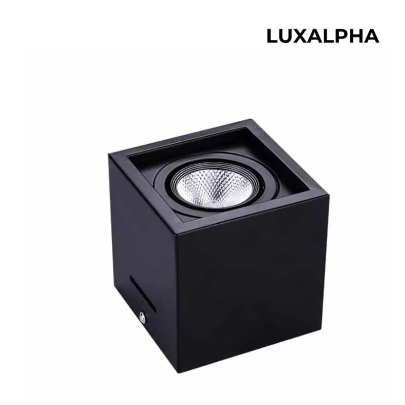 Đèn Ốp Trần Hộp Vuông Đơn và Đôi LUXALPHA